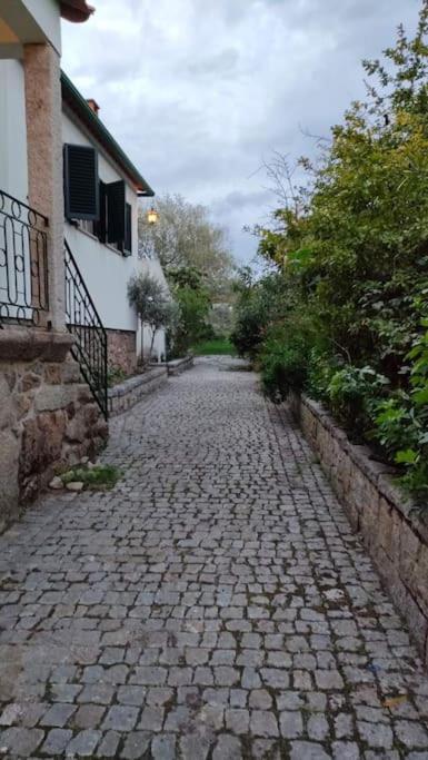 Villa Quinta Da Barbosa Folgosinho Esterno foto
